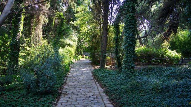 Appartamento Greek Hospitality 2 Atene Esterno foto